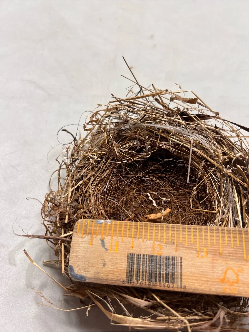Natural Bird Nest Decorative Bowl - Rustic Brown